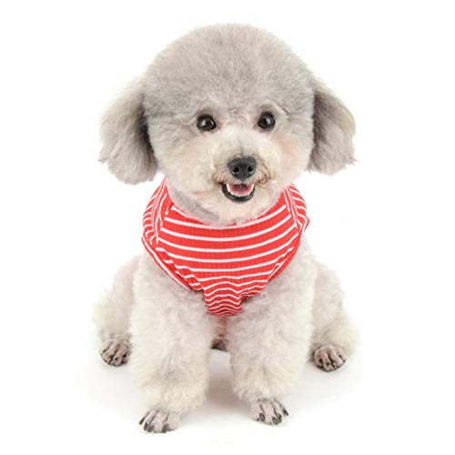 SMALLLEE_LUCKY_STORE Ropa para Mascotas