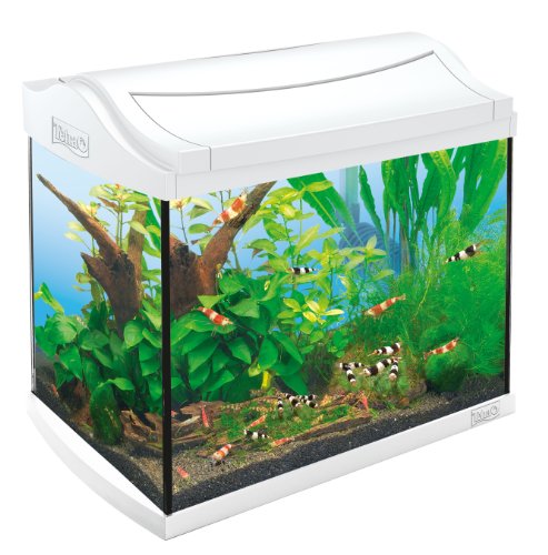 Tetra 211957 White Edition AquaArt - Juego Completo de camarones para Acuario (20 L, Ideal para Mantener y cría la camaroneta)