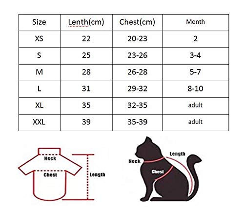 ZHIHAN Camiseta Delgada de Verano con Chaleco esfinge Anti-desprendimiento de Gato sin Pelo, Color 1, L