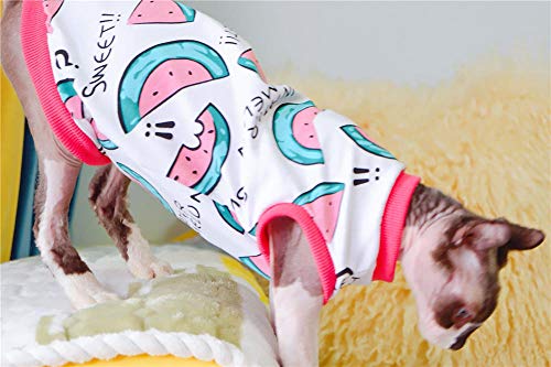 ZHIHAN Camiseta Delgada de Verano con Chaleco esfinge Anti-desprendimiento de Gato sin Pelo, Color 1, L