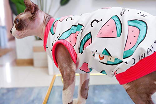 ZHIHAN Camiseta Delgada de Verano con Chaleco esfinge Anti-desprendimiento de Gato sin Pelo, Color 1, L