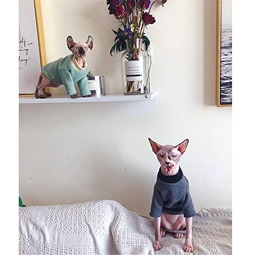 ZHIHAN Suéter de algodón esfinge Gato sin Pelo Ropa de Invierno Gruesa, Verde, M