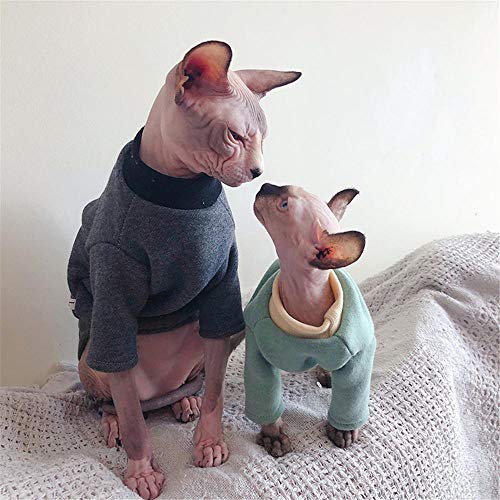 ZHIHAN Suéter de algodón esfinge Gato sin Pelo Ropa de Invierno Gruesa, Verde, M