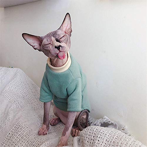 ZHIHAN Suéter de algodón esfinge Gato sin Pelo Ropa de Invierno Gruesa, Verde, M