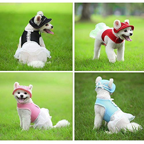 AFRUDDR Sombrero para Perros Gorra de Visera de Verano para Mascotas Cachorro Sombreros para Las Orejas Gorras para Productos para Mascotas al Aire Libre Chihuahua, Sombrero Azul Cielo, S