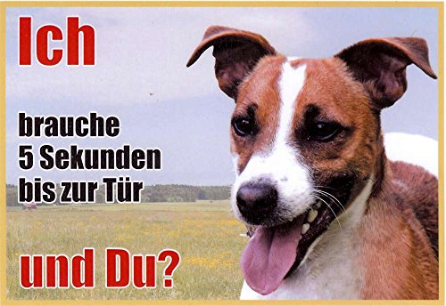 AkaPit Cartel de Advertencia Jack Russel Terrier marrón, Aprox. 21 x 15 cm, Laminado, Impermeable, diseño: Ich Bin Der Freund Dieses Haus, utilizable en Interiores y Exteriores