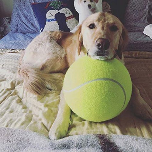 Alxcio Pet perro juguete pelota de tenis juguetes inflables de 9.5 pulgadas de gran tamaño gigante durable pelotas de tenis de goma para niños adultos grandes perros diversión