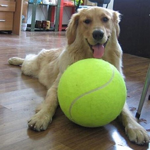 Alxcio Pet perro juguete pelota de tenis juguetes inflables de 9.5 pulgadas de gran tamaño gigante durable pelotas de tenis de goma para niños adultos grandes perros diversión