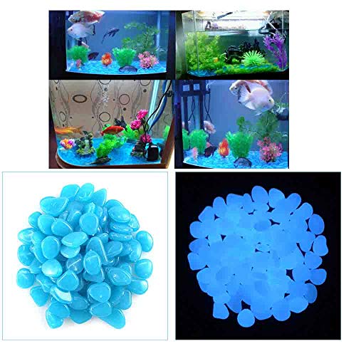 Anyasen 200 Piezas Piedras Luminosas Jardin Piedras Luminosos Piedras Fluorescentes Piedras Luminosas Decorativas para jardín hogar Aire Libre Parques peceras Acuario Decoración(Azul)
