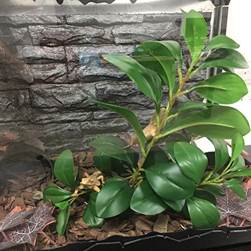 Balacoo Plantas trepadoras de Reptiles, Ramas de árboles de Reptiles simuladas, Adornos de decoración de Plantas realistas de terrarios para Reptiles y Anfibios