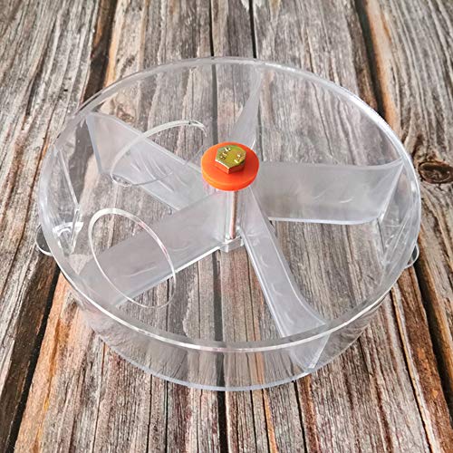Bulz Comedero para pájaros, Juguete de forraje para pájaros, Plato de Comida Inteligente Giratorio, Rueda IQ, Juguete para Loro, pájaro