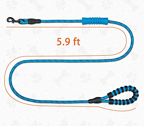 Bwiv Correa para Perros Correr 1.8M Resistente Nylón Fuerte con Mango Acolchado Doble Asa Cómodo Antideslizantes Reflectantes para Grandes Medianos Azul
