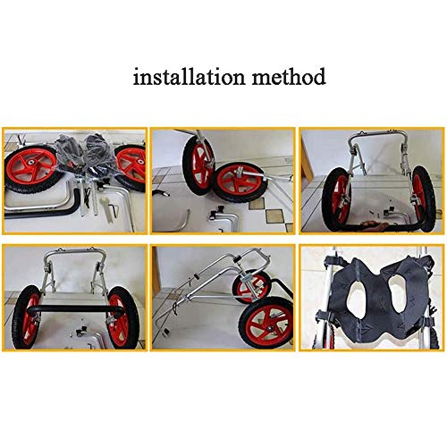 BZZBZZ Silla de Ruedas para Perros Mobility, Carrito de adiestramiento para Mascotas para la rehabilitación de Las Patas traseras de Perros y Gatos de tamaño Mediano con discapacidad senil Grande