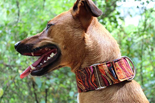 candyPet Collar Martingale Para Perros - Modelo New Waves, M