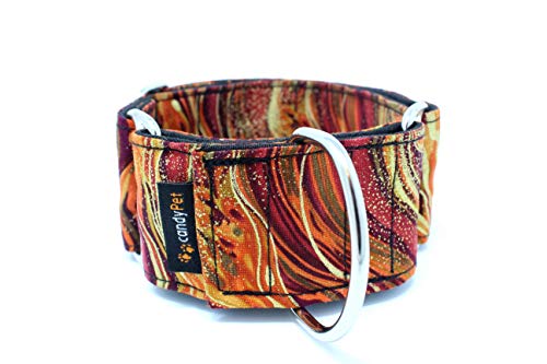 candyPet Collar Martingale Para Perros - Modelo New Waves, M