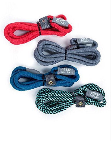 Cesar Millan Cable de Entrenamiento de Nylon