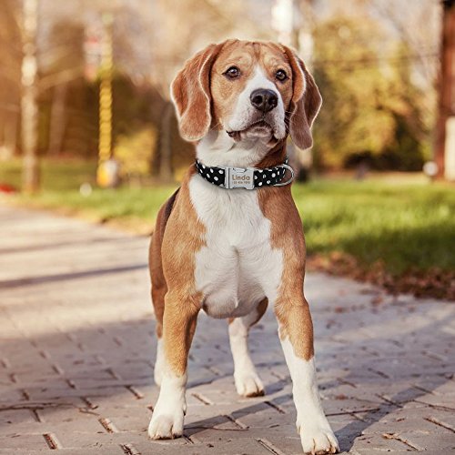 Didog - Collar de perro con grabado personalizable, nailon suave con hebilla de liberación rápida de acero inoxidable, collar de perro con placa de identificación, para perros pequeños y medianos