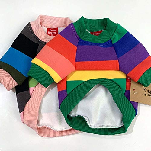 DXQDXQ Invierno Mascota Perro Colores del Arcoiris Terciopelo Ropa Algodón Disfraz for Mascotas Traje de Padre e Hijo a Rayas for Mujeres Mascotas Sudadera de Perro Gato (Color : 1, Size : XXXL)