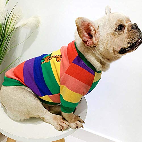 DXQDXQ Invierno Mascota Perro Colores del Arcoiris Terciopelo Ropa Algodón Disfraz for Mascotas Traje de Padre e Hijo a Rayas for Mujeres Mascotas Sudadera de Perro Gato (Color : 1, Size : XXXL)