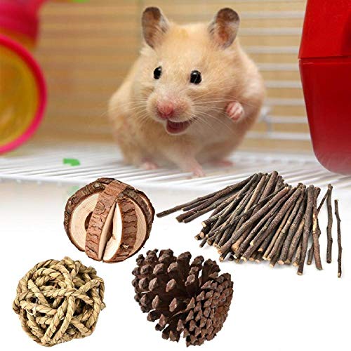 ENLAZY 8 Unids/Set Hamster Chew Toys Natural Madera Pino Conejillos de Indias Ratas Chinchillas Juguetes Accesorios Cuidado de los Dientes Molar Juguete para Aves Conejo Conejos Jerbos