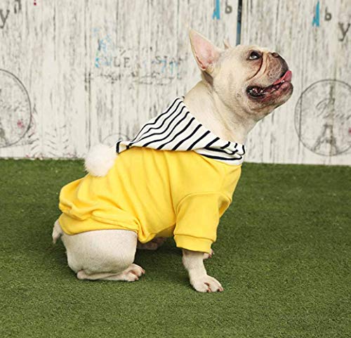 feiling Ropa para Perros pequeños, Sudadera con Capucha para otoño e Invierno, Disfraz para Perros, con diseño de Rayas, de algodón, Sudadera para Perros