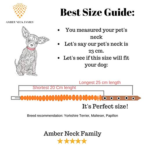 Hecho a mano, collar de ámbar antigarrapatas y antipulgas totalmente natural con ajustable correa de piel marrón claro para perros y gatos/hecho con amor, hermoso, útil, natural.