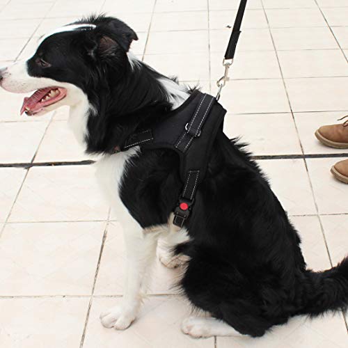 Hollyde Arnés para Perro de Reflectante, Ajustable Arnés de Perro Oxford Nylon Durable para Caminar y Entrenar (M)