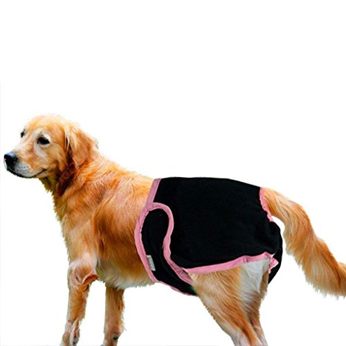 IPENNY pañales de Perro Hembra Lavable Braga de Calor para Perro pañales no desechable Bragas Reutilizables para Mascotas Hygienique séchant cortaúñas