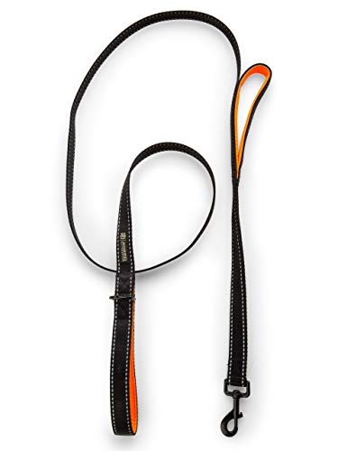 Jack & Russell Correa para Perro de Primera Calidad Rocky - Correa Deportiva para Perro mosquetón de Perno - Correa para Perro con Lazo de Mano de Agarre Suave Incl. Bolsa de Yute (Negro/Naranja)