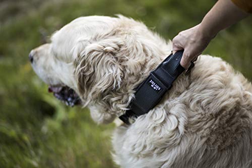 Julius-K9 Collar Color & Gray con la manija, la cerradura de seguridad y el remiendo intercambiables, 40 mm (38-53 cm), Negro-Gris
