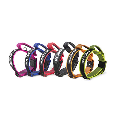 Julius-K9 Collar Color & Gray con la manija, la cerradura de seguridad y el remiendo intercambiables, 40 mm (38-53 cm), Negro-Gris