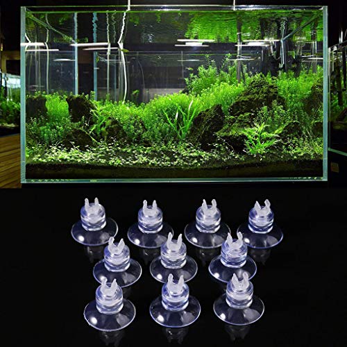 JunYe - 10 ventosas para Acuario para Bomba de Tanque de Peces, Soporte para Tubo de Aire