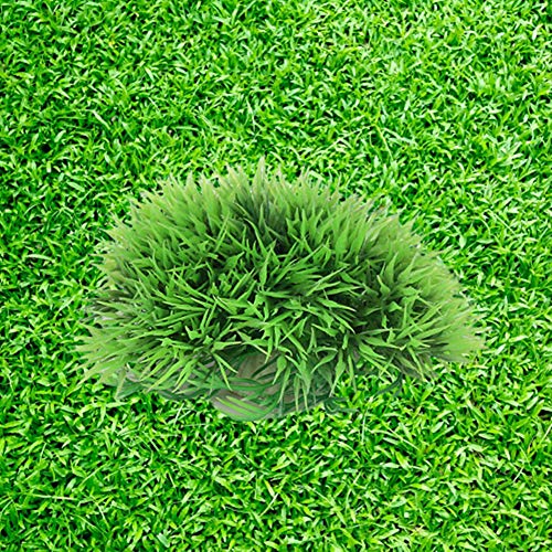 KunLS Plantas Acuario Plantas Decorativas Artificiales Acuario Decoracion Accesorios para Acuarios Plantas Artificiales para Acuario Accesorios del Tanque De Peces De 1pc