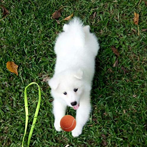 letaowl Pelota Perro 4 Piezas Naranja Bolas De Tenis De Mascotas para Perros Ejercicio De Juego Y Entrenamiento Seguro