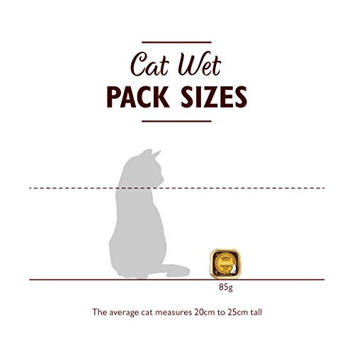 Lily's Kitchen Comida Húmeda Cena de Pollo Orgánico para Gato (19 x 85g)