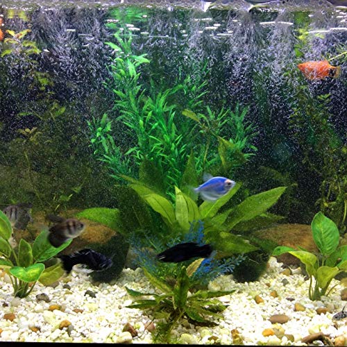 LYQZ Las grandes plantas de acuario, plantas artificiales de plástico del tanque de pescados de la decoración del ornamento seguras for todos los peces 12,6 pulgadas de altura de 7.09 pulgadas de anch