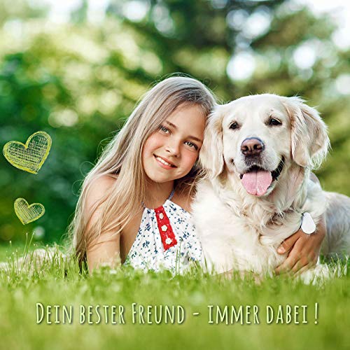 Monkimau - Cinturón de Seguridad para Perros