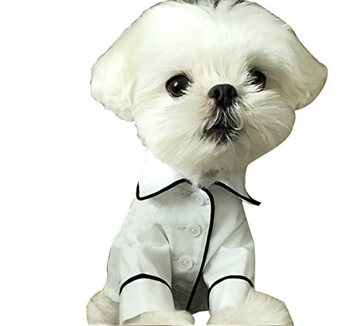 ODOKEI Vestidos para Perritas Mascotas Perro Ropa Abrigo Sudadera Invierno Mascota Perro Ropa Animales Dog Pet Clothes