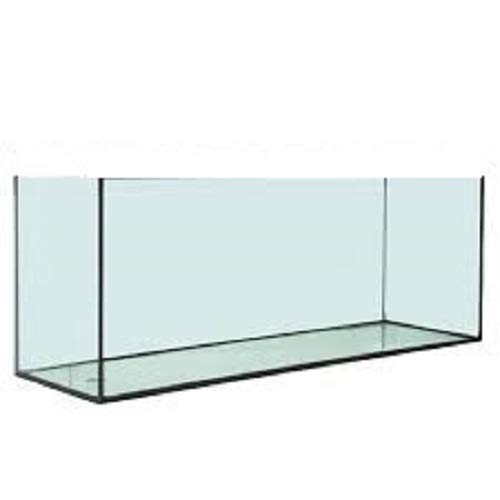 RADYS Acuario PECERA DE Solo Cristal 60 litros
