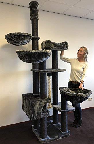 Rascador para gatos grandes Catdream de Luxe Blackline Gris oscuro Maine Coon Hasta el altura de Techo Alto de seulo alturo arbol xxl gato gigante sisal casa torre Árboles rascadores con hamaca