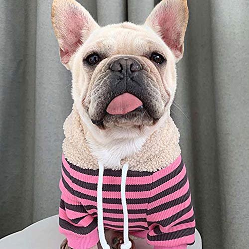 Raya Disfraz for Mascotas Encapuchado Traje de Padre e Hijo con Sombrero de Lana Perro Otoño Suéter Algodón Forro Suave for Perros Gatos for Mujeres Mascotas Sudadera ( Color : Pink , Size : XXXL )