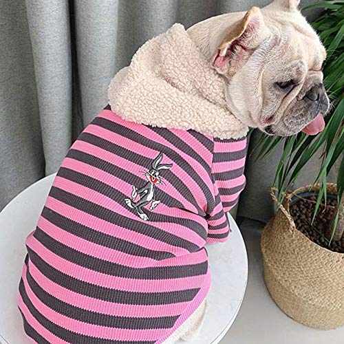 Raya Disfraz for Mascotas Encapuchado Traje de Padre e Hijo con Sombrero de Lana Perro Otoño Suéter Algodón Forro Suave for Perros Gatos for Mujeres Mascotas Sudadera ( Color : Pink , Size : XXXL )