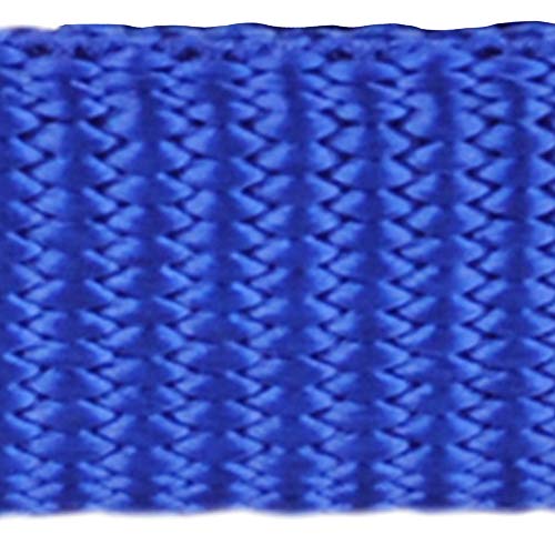 Red Dingo GmbH 9330725007611 Correa Perro, XL, Azul Marino