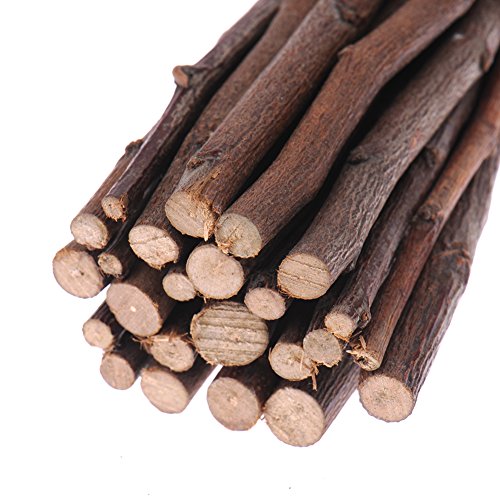 Singeru - Palos de Manzana para Aperitivos de Mascotas, Rama de Manzana Natural, palitos para Masticar para Mascotas pequeñas, para cobayas, Cerdos, Chinchillas, Ardillas, Conejos, Loros, hámster
