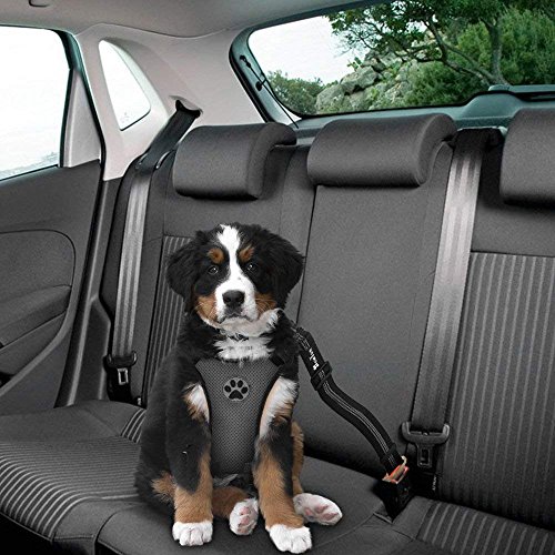 SlowTon Arnés de Coche para Perro con Correa de Conector, multifunción, Ajustable, Doble Tejido de Malla Transpirable, arnés de Chaleco de Viaje con cinturón de Seguridad