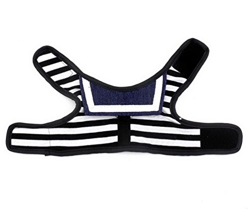 smalllee _ _ _ _ _ _ _ _ _ _ _ _ _ _ _ _ _ _ _ _ de la suerte Store Pet Ropa para pequeños perros y gatos Diseño de rayas Sailor Juego de correa Arnés Chaleco MALLA acolchada plomo