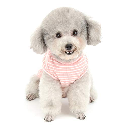 SMALLLEE_LUCKY_STORE Ropa para Mascotas