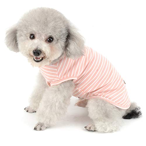 SMALLLEE_LUCKY_STORE Ropa para Mascotas