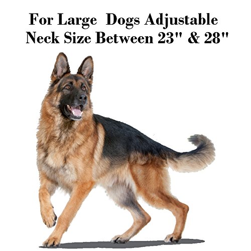 Spoilt Rotten Pets (S4 Bandana de la Marca Blue Star. Tamaño Extragrande, se Adapta generalmente a Perros Grandes y Extra Grandes y Perros de San Bernardo. Tamaño de Cuello 23 Pulgadas a 28 Pulgadas