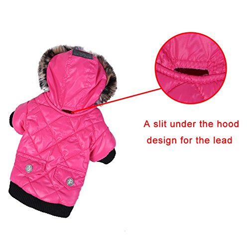 Sudadera con capucha gruesa Balai, impermeable, cálido, prenda de vestir para pequeñas razas de perro, como Chihuahua